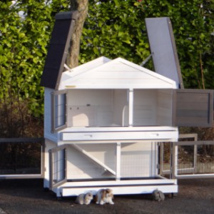 Rabbit house with hinged roof