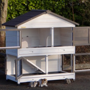 The rabbit hutch Excellent Medium is provided with many doors