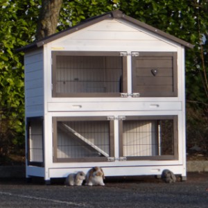 The sleeping compartment of rabbit hutch Excellent Medium is suitable for 2 à 3 rabbits