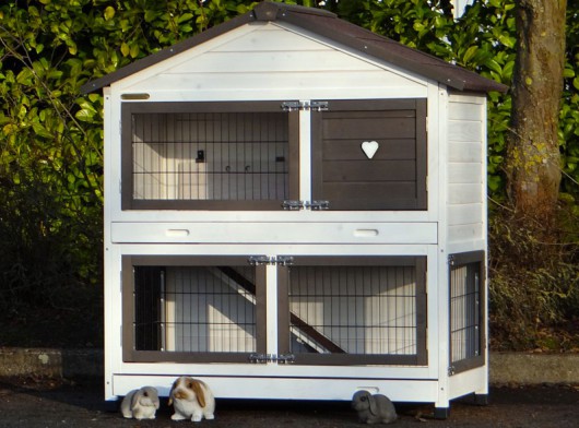 Rabbit hutch Excellent Medium with insulation kit and chewprotection