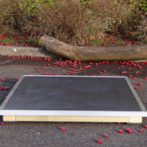 The deck Solide is app. 8cm high