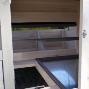 Have a look in the sleeping compartment of rabbit hutch Sunshine