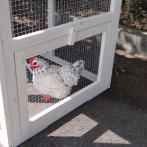 The rabbit hutch Budget has the possiblity to connect a run