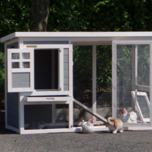 The rabbit hutch Budget is provided with large doors