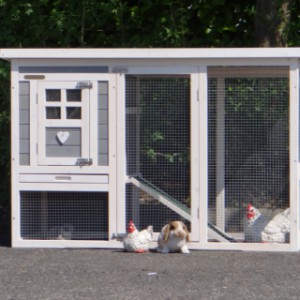 The hutch Budget offers a lot of space for your rabbits