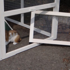 The rabbit hutch Julia is provided with a removable mesh panel