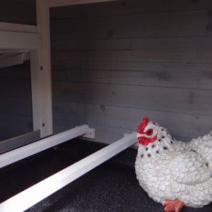 The sleeping compartment of chickencoop Niels is provided with 2 removable perches