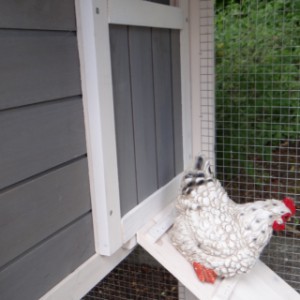 The chickencoop Niels has a lockable sleeping compartment