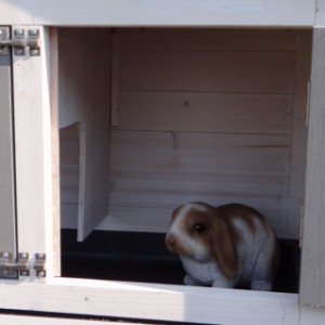 Rabbit hutch Excellent Small | sleeping compartment for rabbits