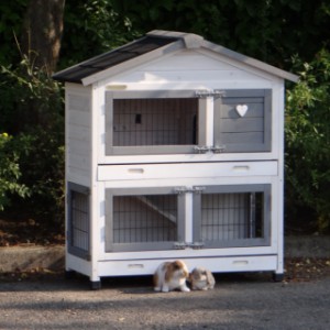 The rabbit hutch Excellent Small has 2 floors