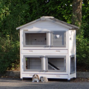 The rabbit hutch Excellent Small has a run on the bottom floor