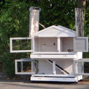 Rabbit hutch Excellent Small | with hinged roof
