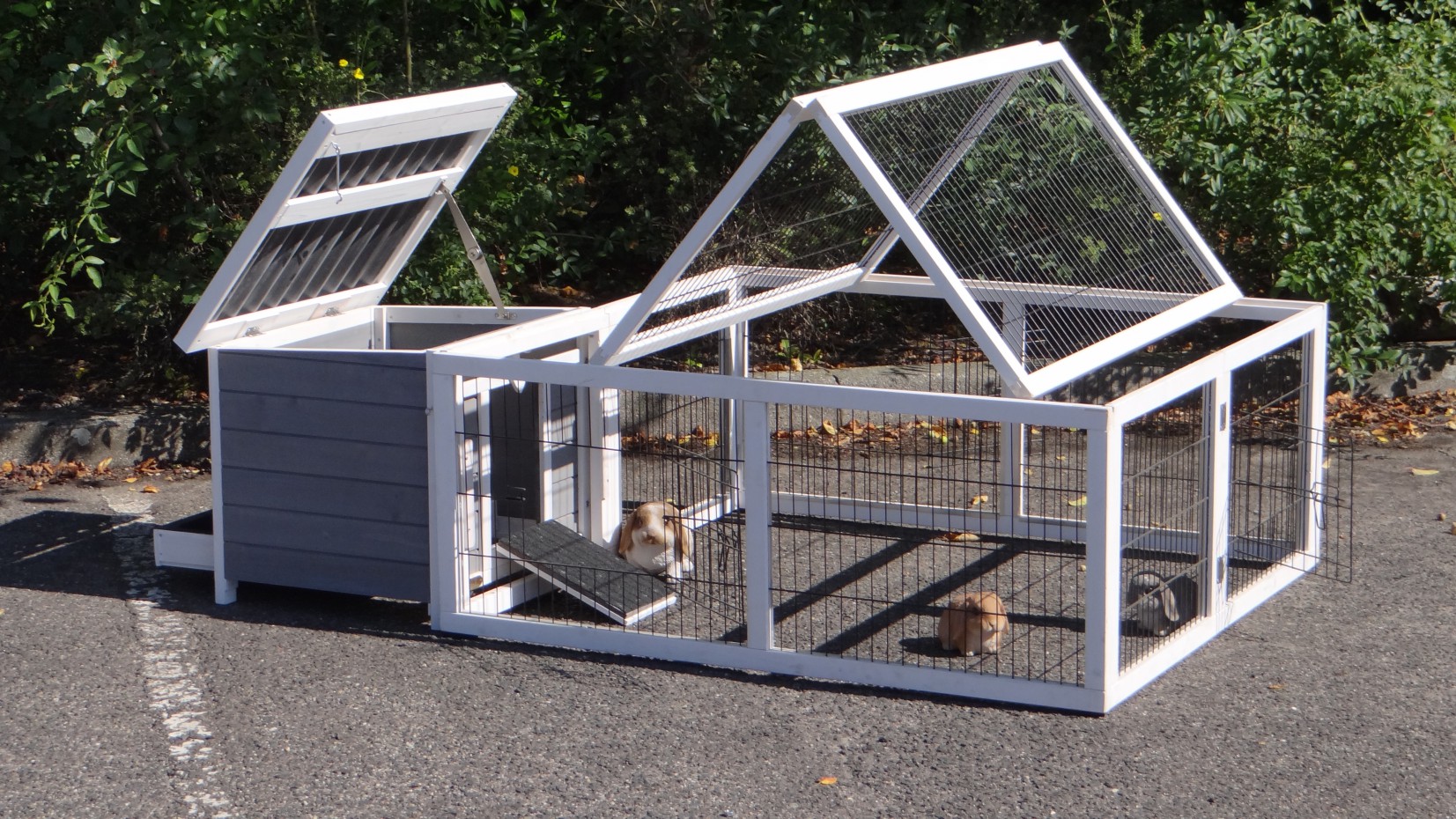 Rabbit house Little White with Multirun