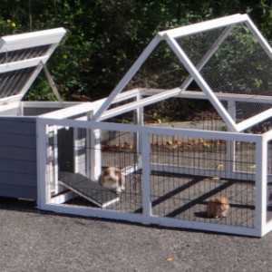 The rabbit hutch Little White  can be combined with the Multirun
