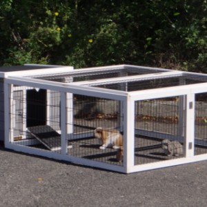 Rabbit hutch Little White can also be used for guinea pigs