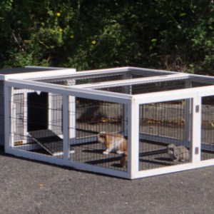 The rabbit hutch Little White can also be used for guinea pigs