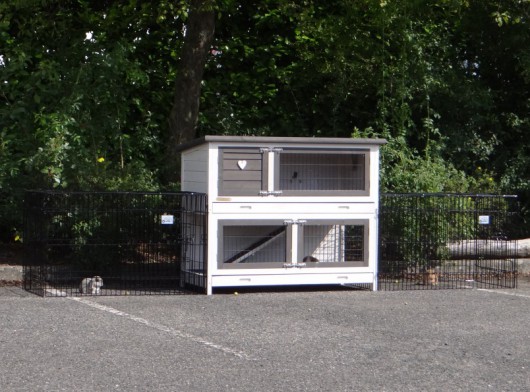 Rabbit hutch Adrian with 2 additional runs Joey 315x60x96cm