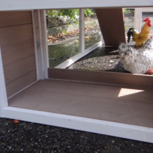Chickencoop Leah | can also be used as laying nest