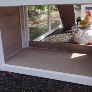 Under the nesting box is a small shelter