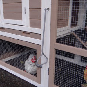 The sleeping compartment of chickencoop Leah can be locked from the outside