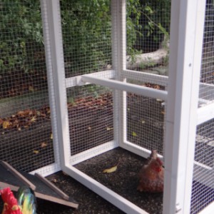 The run of chickencoop Leah is provided with a removable perch