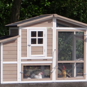 The rabbit hutch Leah is made of pine wood