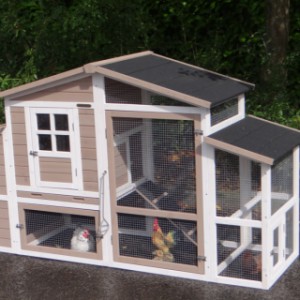 The chickencoop Leah is an acquisition for your yard
