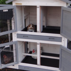 The guinea pig hutch Double Small has 2 separated sleeping compartments