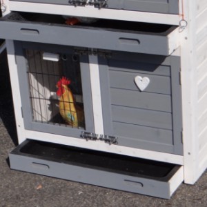 Chickencoop Double Small | with 2 plastic trays