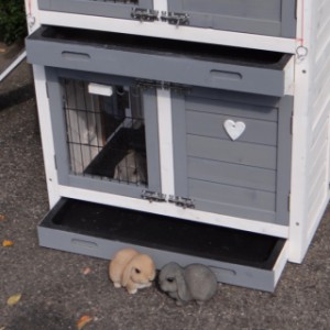 Rabbit hutch Double Small | with plastic trays
