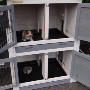 Rabbit hutch Double Small has 2 sleeping compartments