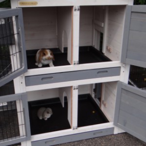 Rabbit hutch Double Small | with 2 sleeping compartments