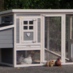 The rabbit hutch Budget is made of pine wood