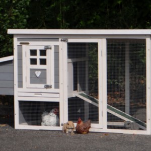 The rabbit hutch Budget will be delivered in the shown colours