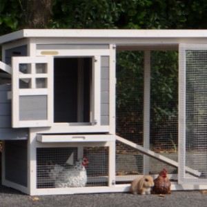 The hutch Budget is suitable for 1 till 3 rabbits