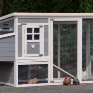 The hutch Julia is suitable for 1 till 3 rabbits