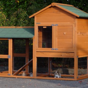 The hutch Prestige Medium offers a lot of space for your rabbit(s)