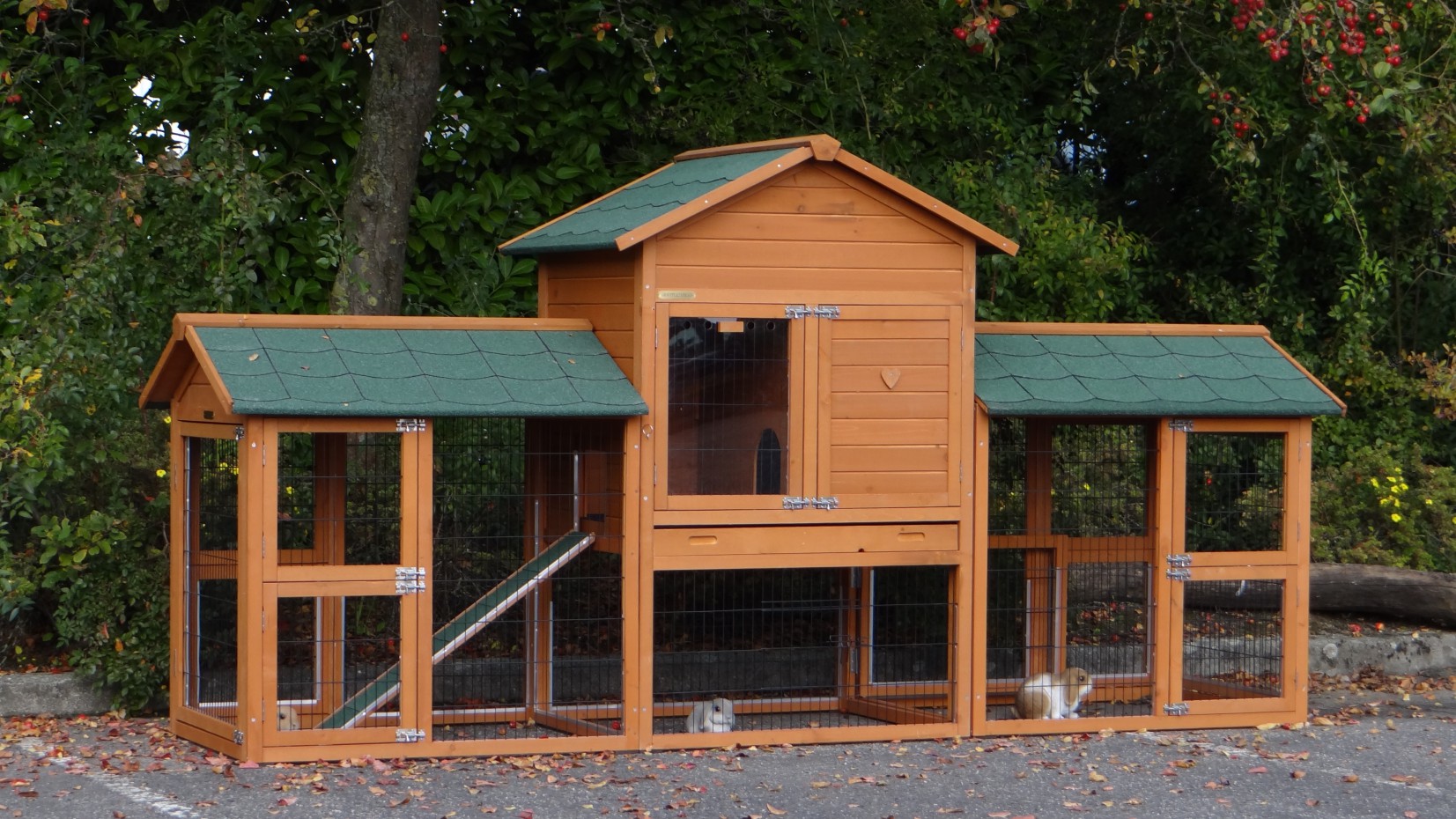 Rabbit cage Prestige Medium Double chew proof