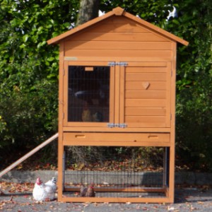 Large wooden chicken house