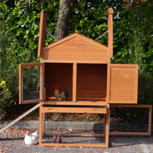Practical chicken coop with spacious doors