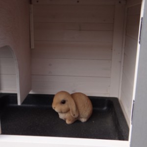 The sleeping compartment of rabbit hutch Regular Small is suitable for 1 little rabbit