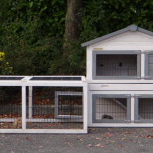 Rabbit hutch Regular Small offers place for 1 small rabbit