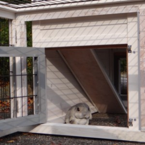 Regular Small rabbit hutch with the Multirun run