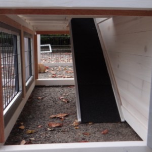 Have a look in the run of the rabbit hutch Regular Small