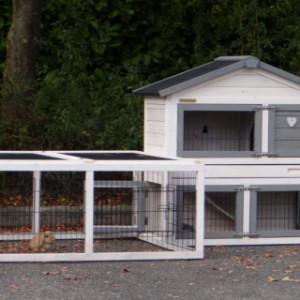 The Regular Small rabbit hutch with Multirun provides plenty of space for your rabbit