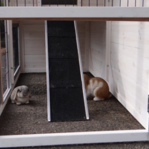 On the right side of the rabbit hutch Holiday Medium is a little door