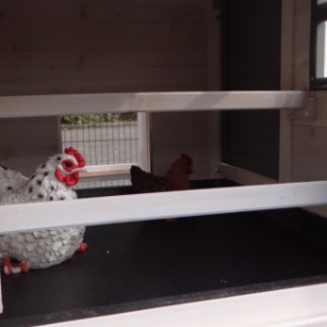 The sleeping compartment is suitable for 3 till 5 chickens