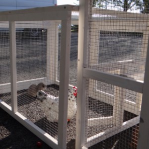 Rabbit hutch Leah | at the back there is a gap between run and cage