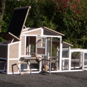 Rabbit hutch Leah has a hinged roof