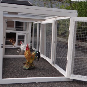 Picture from the right side of the chicken run: to get chicken!